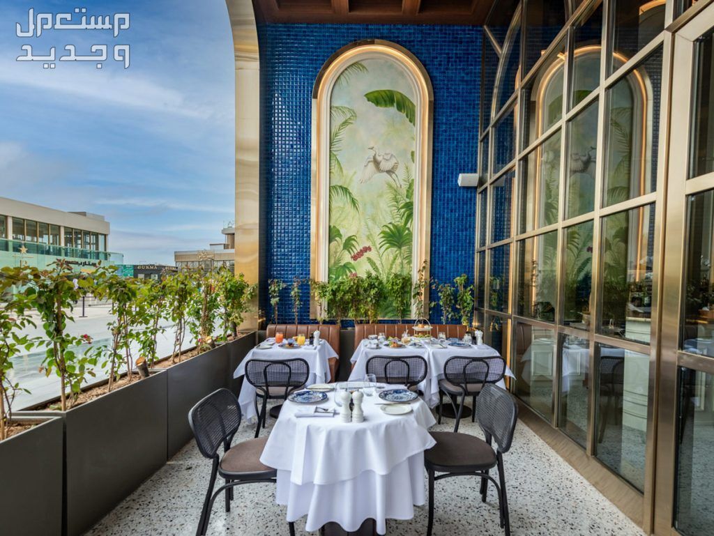 أفضل مطعم بالرياض عوائل عشاء 2024 استمتع بأجواء مميزة في الإمارات العربية المتحدة أفضل مطعم بالرياض عوائل عشاء 2024
