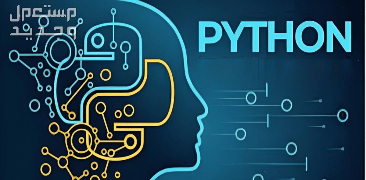 حل المشاكل البرمجية وكتابة سكريبات بلغة Python