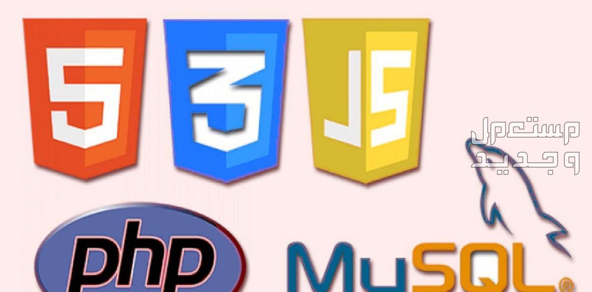 برمجة مواقع وأنظمة بلغة PHP + MYSQL بشكل احترافي