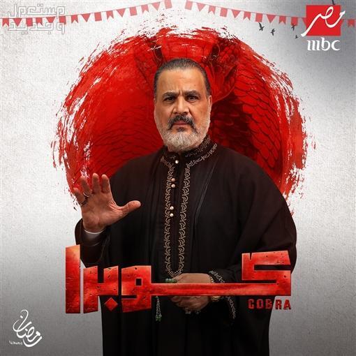 مشاهدة مسلسل كوبرا الحلقة 15 الخامسة عشر والأخيرة في البحرين الفنان مجدي كامل