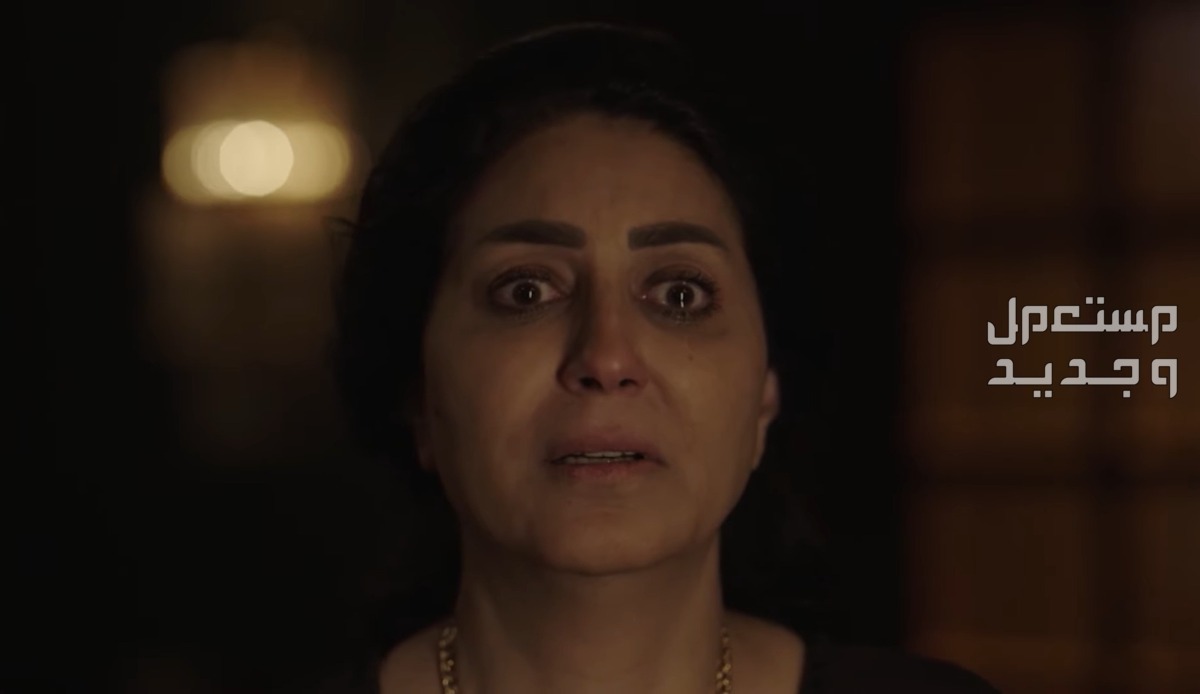 مشاهدة مسلسل حق عرب الحلقة 30 الثلاثون والأخيرة.. هل تتوقعون موت عرب السويركي؟ وفاء عامر تبكي في مسلسل حق عرب