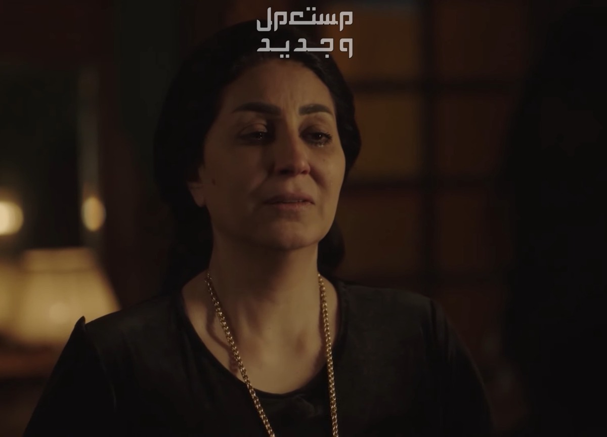مشاهدة مسلسل حق عرب الحلقة 30 الثلاثون والأخيرة.. هل تتوقعون موت عرب السويركي؟ وفاء عامر حق عرب