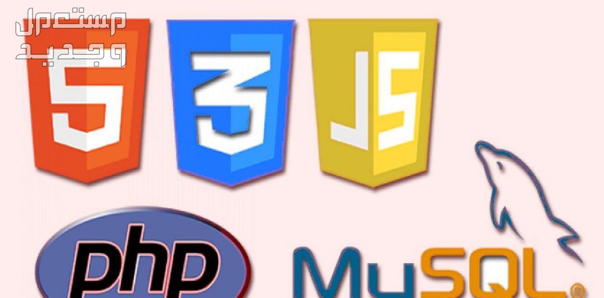 برمجة مواقع وأنظمة بلغة PHP + MYSQL بشكل احترافي