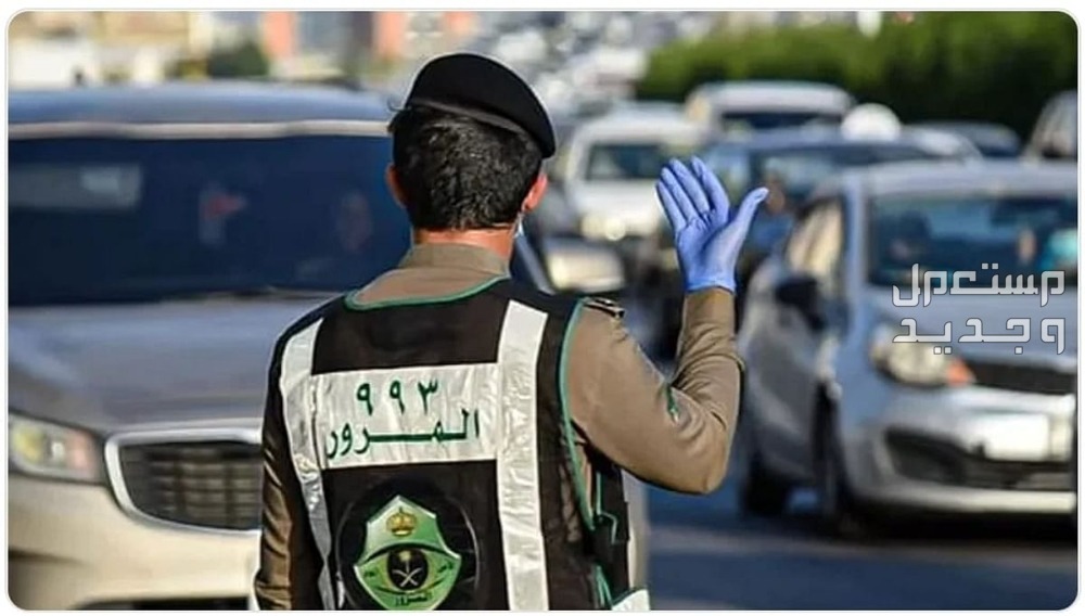 هل يمكن تجديد رخصة القيادة بدون تسديد المخالفات؟ تجديد رخصة القيادة في السعودية