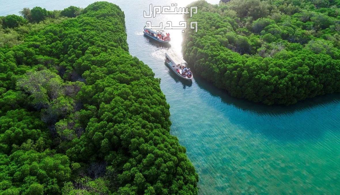 أفضل 5 أماكن سياحية في جازان لتجربة ساحرة أفضل 5 أماكن سياحية في جازان لتجربة ساحرة