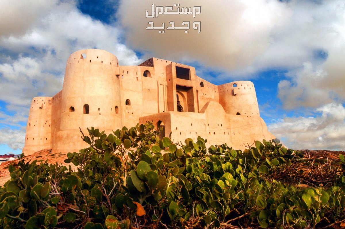 أفضل 5 أماكن سياحية في جازان لتجربة ساحرة في السعودية قلعة الدوسرية بجازان