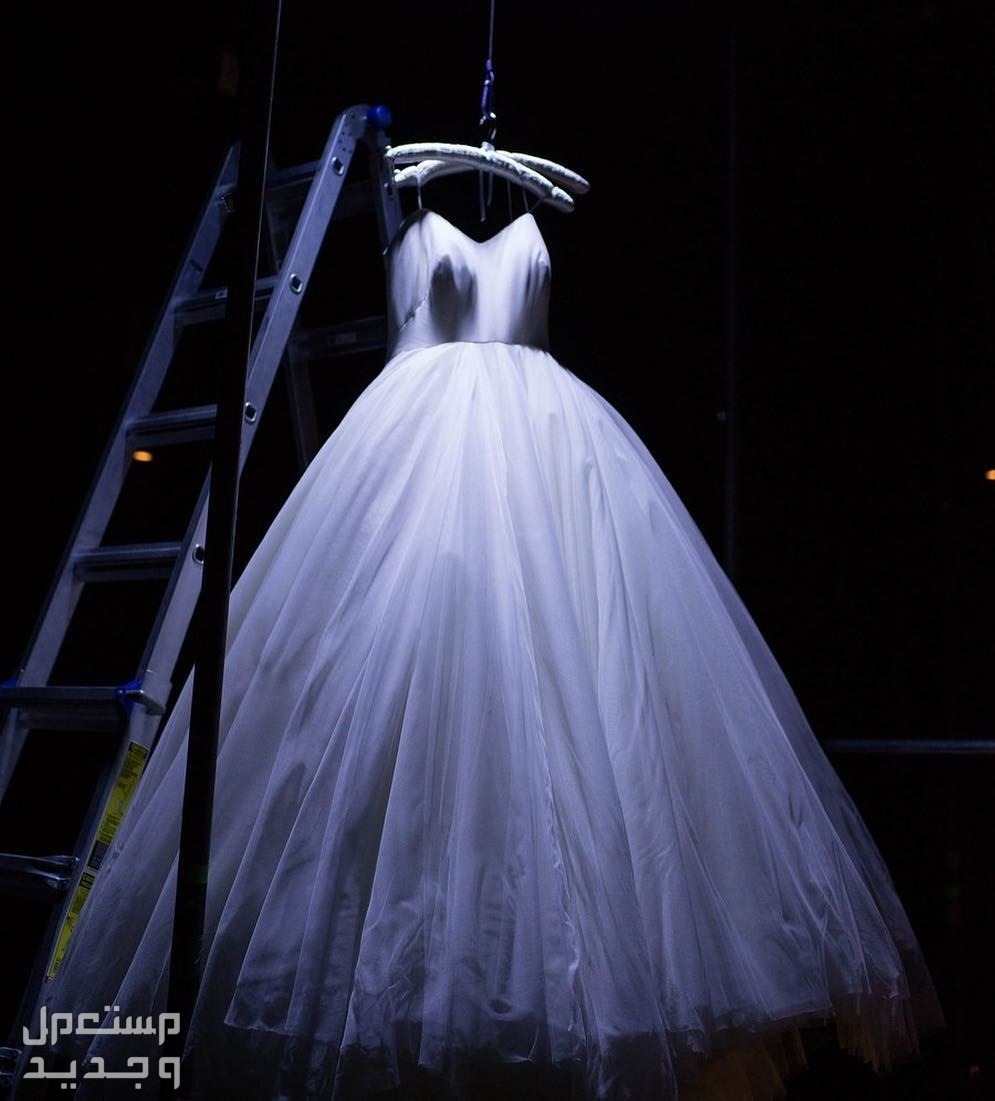 أجمل فساتين الزفاف في العالم في الإمارات العربية المتحدة تفاصيل فستان سيرينا ويليام
