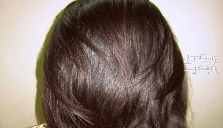 أفضل خلطة طبيعية لصبغ الشعر بدون حناء في السودان صبغة للشعر الناعم