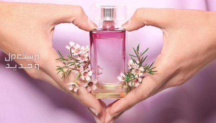 أفضل عطور صيفية للنساء 2025 وأسعارها عطر صيفي خفيف للنساء