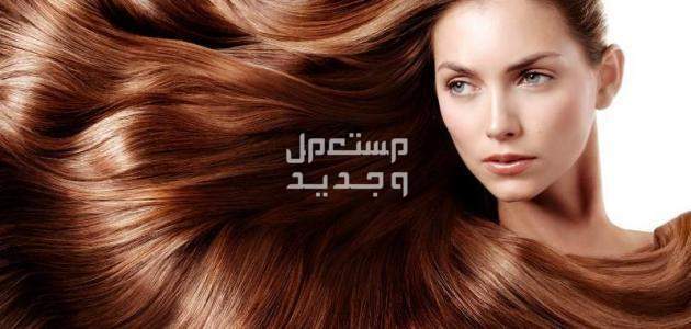 أفضل خلطة لتطويل الشعر وتكثيفه مجربة في عمان خلطة تطويل وتكثيف الشعر