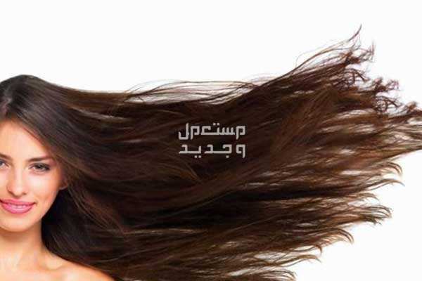 أفضل خلطة لتطويل الشعر وتكثيفه مجربة تطويل الشعر في المنزل