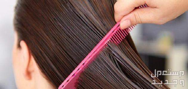 أفضل خلطة لتطويل الشعر وتكثيفه مجربة في عمان خلطات تطويل الشعر