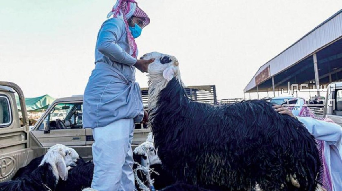 موعد أول أيام عيد الأضحى 1445