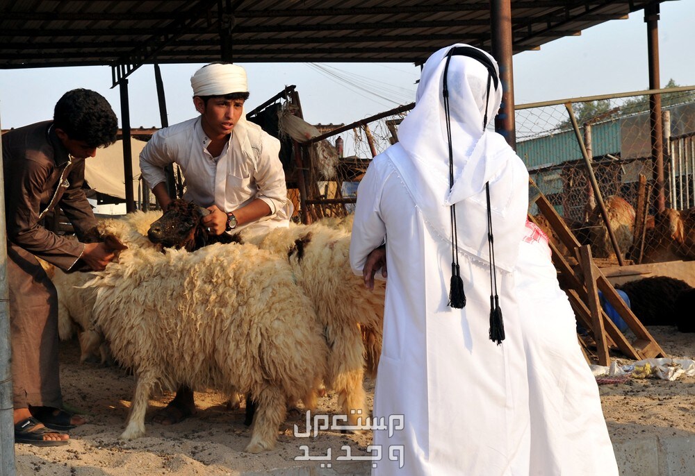موعد أول أيام عيد الأضحى 1445 موعد أول أيام عيد الأضحى 1445