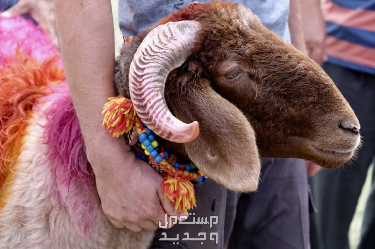 موعد أول أيام عيد الأضحى 1445