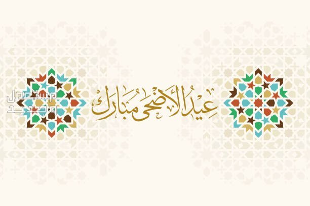 بطاقة تهنئة بعيد الأضحى بالاسم والصورة 2024 للأصدقاء والأهل في عمان بطاقة تهنئة بعيد الأضحى