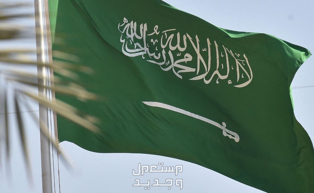 طريقة التسجيل في تكافل الطلاب 1446 علم المملكة العربية السعودية