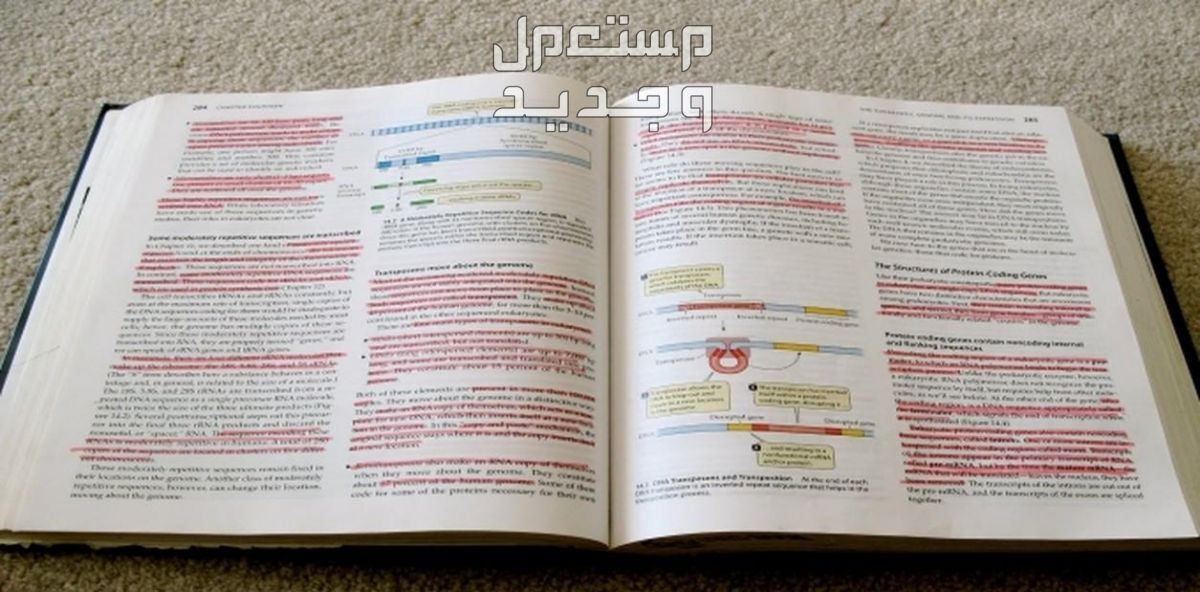 ترجمة الكتب الهندسية والمراجع Text book من الإنجليزية والعربية
