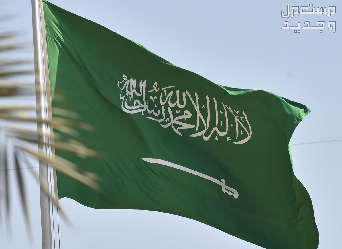 رابط التقديم على التجنيد الموحد 1445.. الشروط والأوراق المطلوبة في موريتانيا علم السعودية