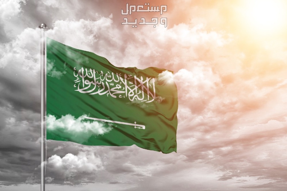 أجمل كلمات عن عيد العمال قصيرة 2025 علم المملكة