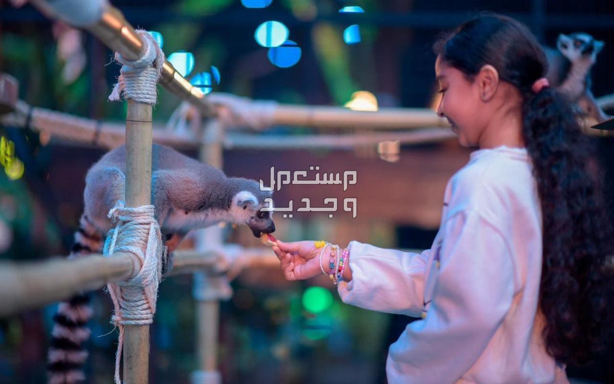 رابط حجز تذاكر دخول حديقة الحيوان في جدة بروميناد 1445 في الأردن موعد دخول حديقة الحيوان المغلقة في جدة 1445