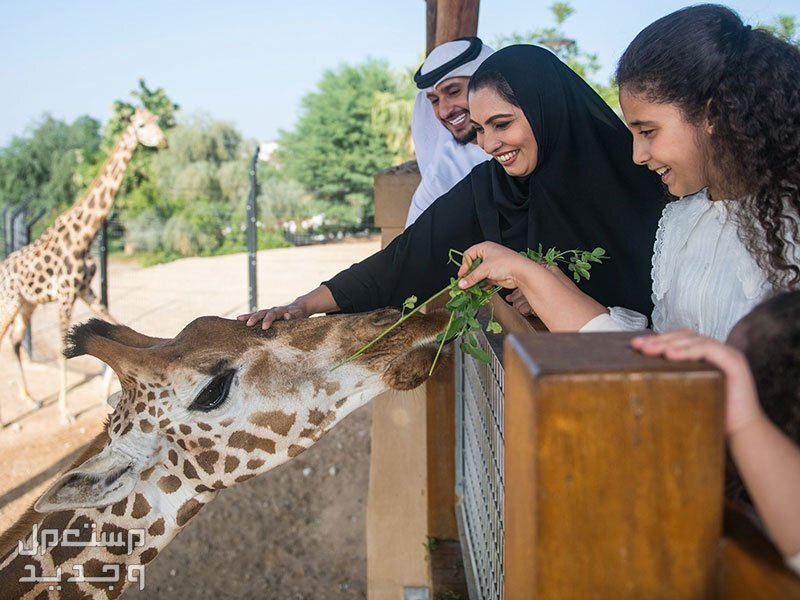 رابط حجز تذاكر دخول حديقة الحيوان في جدة بروميناد 1445 حديقة الحيوان في جدة بروميناد 1445