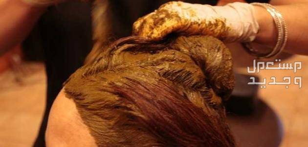 أفضل خلطة طبيعية لصبغ الشعر بدون حناء في موريتانيا حنة للشعر البني