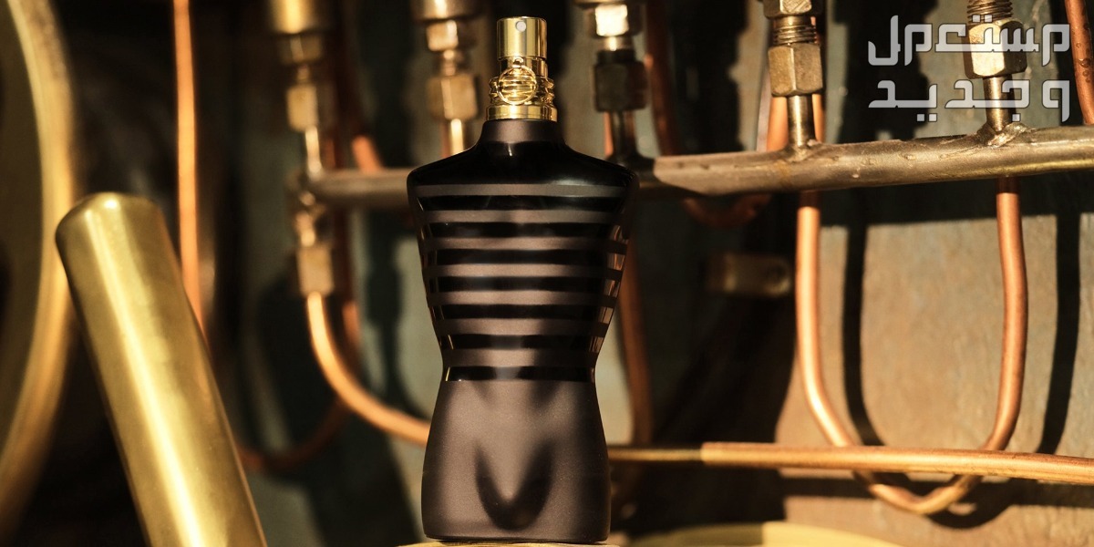 أقوى عطر فانيلا رجالي بأفضل سعر في جيبوتي تفاصيل زجاجة عطر Jean Paul Gaultier Le Male Le Parfum