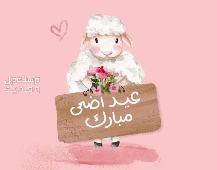 عبارات تهنئة بعيد الأضحى للأهل والاصدقاء 2024 بالصور في الأردن خروف يحمل لافتة مكتوب عليها عيد أضحى سعيد