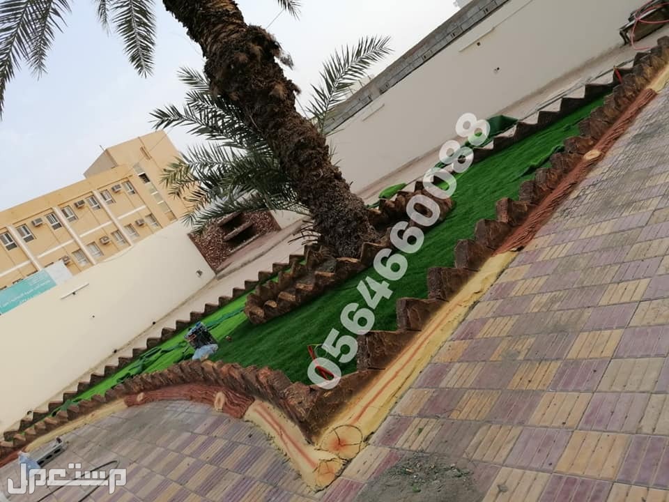 عشب صناعي 2021 عرض سعر  في ابها