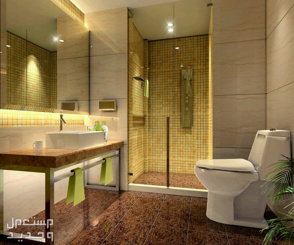 صور تصاميم حمامات صغيرة فخمة في الإمارات العربية المتحدة صور تصاميم حمامات صغيرة فخمة
