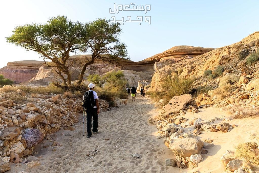 أفضل 5 أماكن سياحية غير معروفة في الرياض 2024.. اكتشفها بنفسك في السودان وادي الطوقي