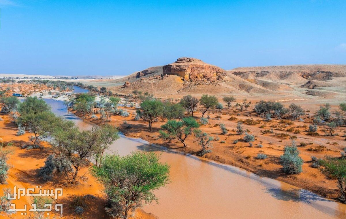 تعرف على أشهر المحميات الطبيعية.. جولة ساحرة تعرف على أشهر المحميات الطبيعية