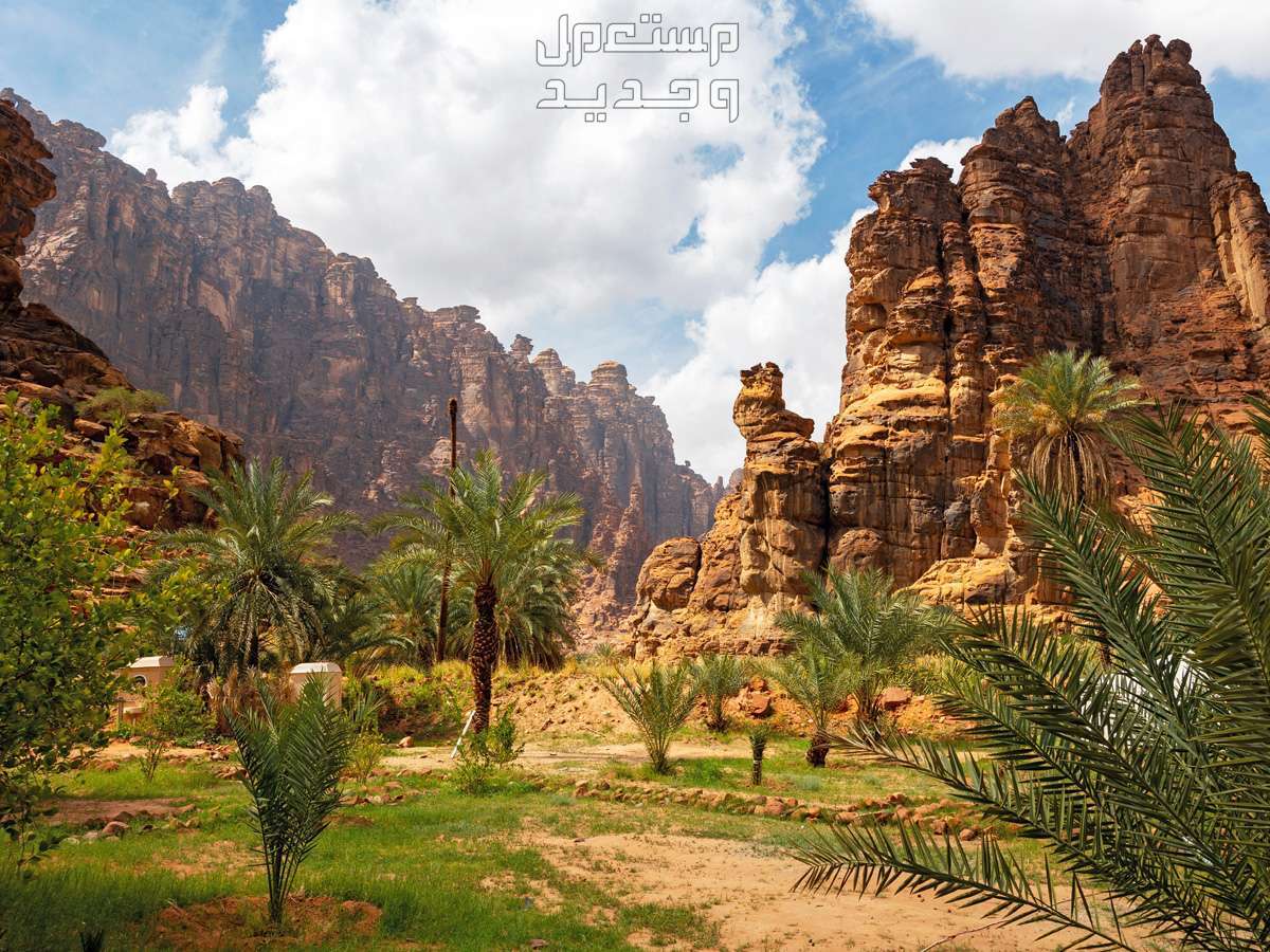 تعرف على أشهر المحميات الطبيعية.. جولة ساحرة أشهر المحميات الطبيعية