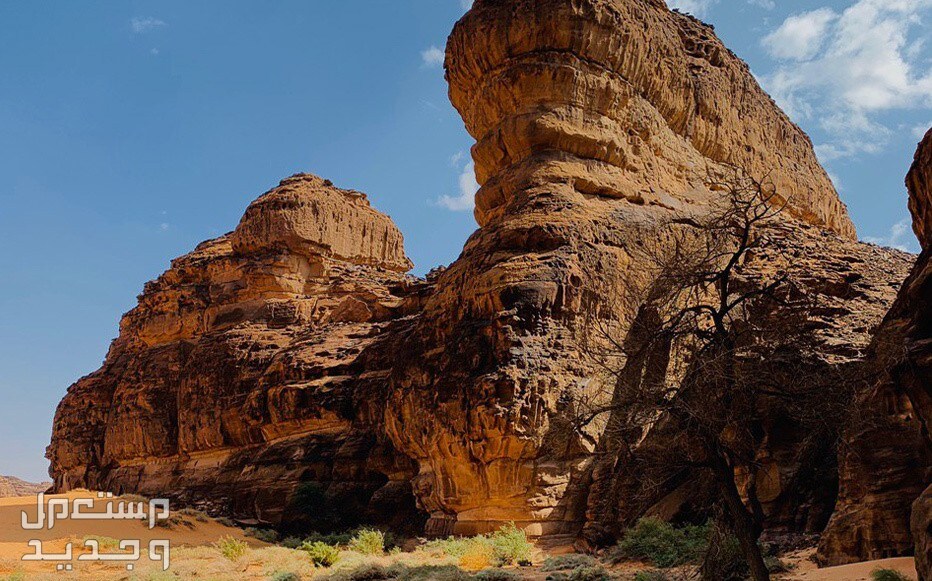 تعرف على أشهر المحميات الطبيعية.. جولة ساحرة في الأردن محمية شرعان الطبيعية