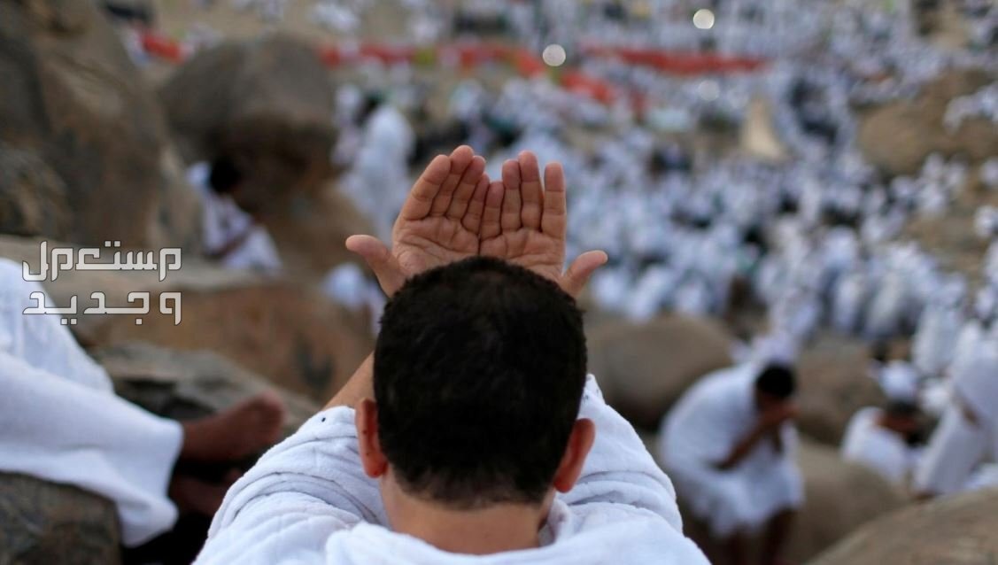 أفضل دعاء يوم عرفة مستجاب وأفضل وقت للاستجابة رجل مسلم يناجي الله في يوم عرفة