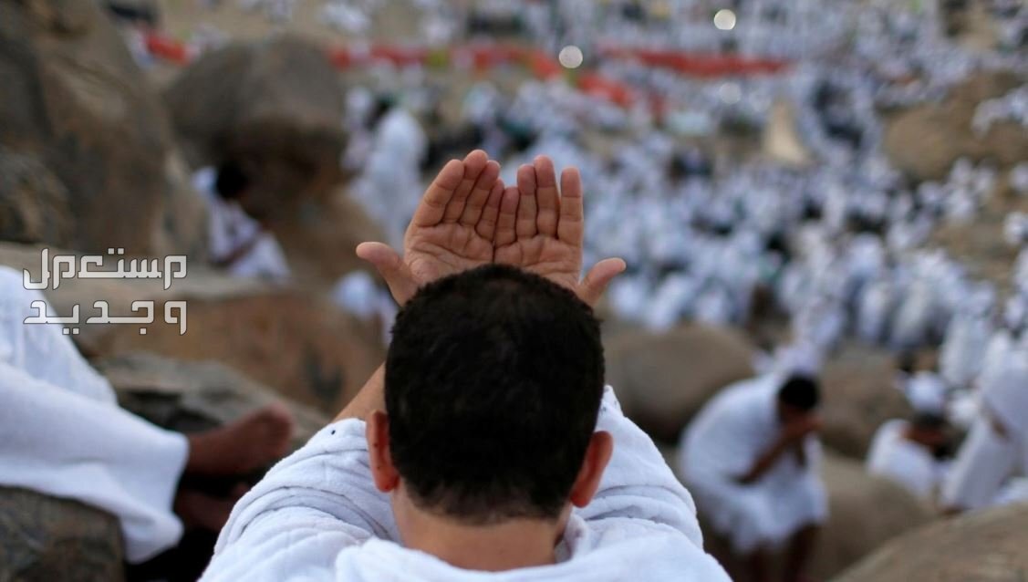 أفضل دعاء يوم عرفة مستجاب وأفضل وقت للاستجابة في عمان رجل مسلم يناجي الله في يوم عرفة
