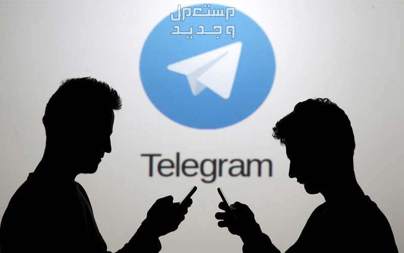 مميزات تليجرام بيزنس وكيفية استخدامه.. وأفضل بوت Telegram تطبيق تيليجرام للأعمال