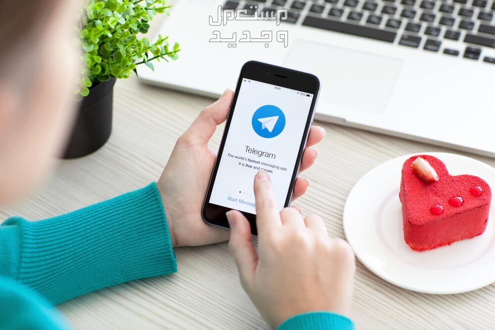 مميزات تليجرام بيزنس وكيفية استخدامه.. وأفضل بوت Telegram تليجرام بيزنس Telegram Business