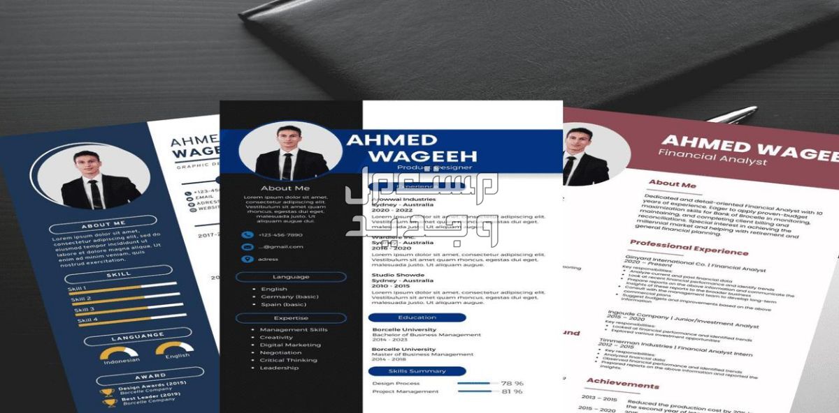 تصميم سيرة ذاتية CV احترافية باللغتين عربي انجليزي