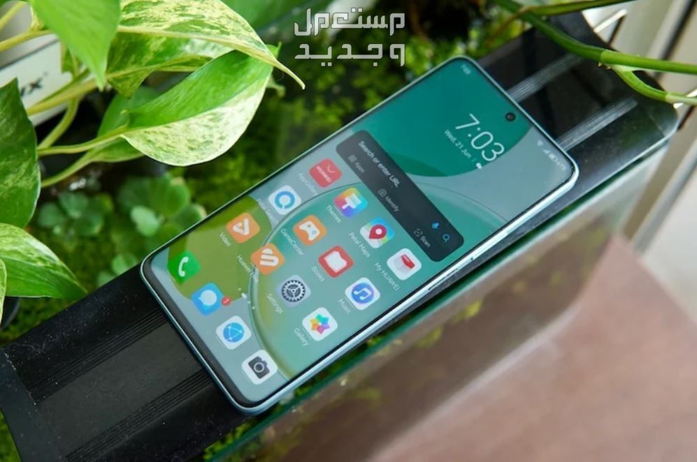ما هو الوقت المناسب لشراء هاتف جديد؟.. اعرف افضل الاوقات في عمان هواوي نوفا 11i
