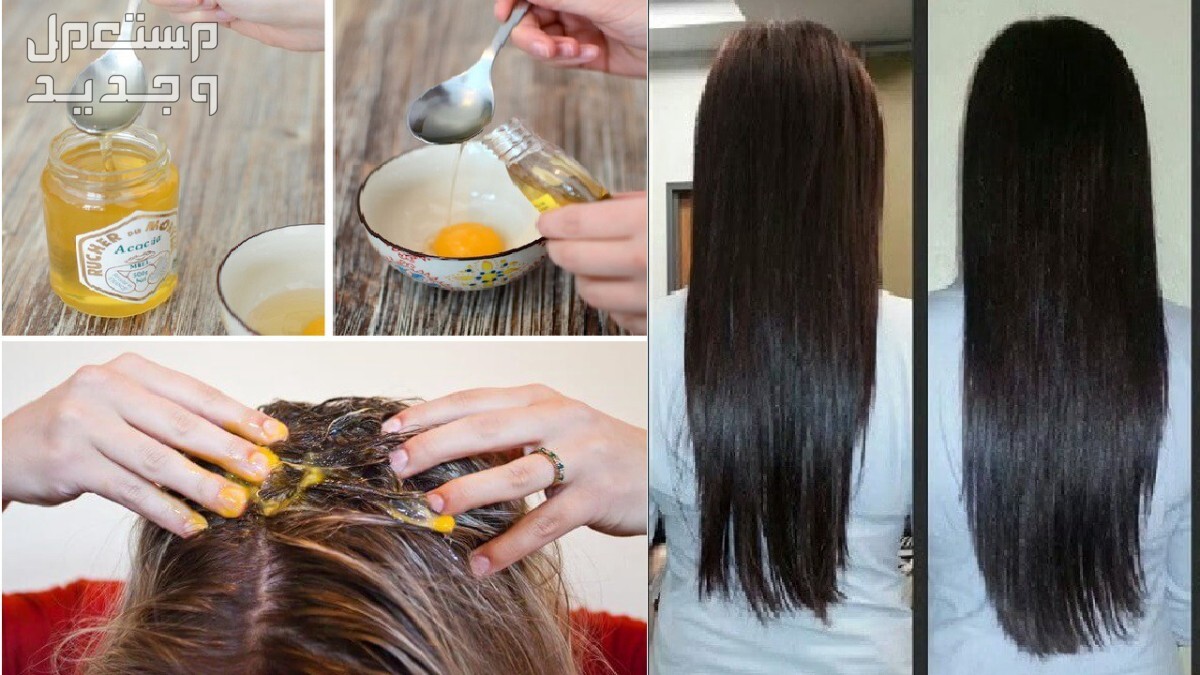 وصفة لتكثيف الشعر الخفيف وملء الفراغات طريقة وضع وصفة البيض مع زيت الزيتون على الشعر