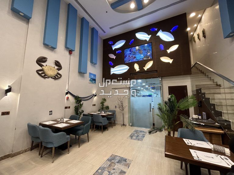 افضل مطعم سمك بالرياض عوائل 2024 لمحبي الأطعمة البحرية في عمان مطعم اسماك الزيتون