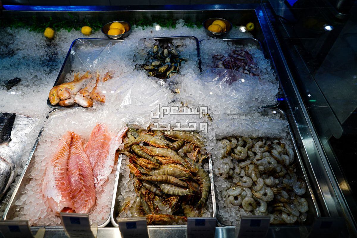 افضل مطعم سمك بالرياض عوائل 2024 لمحبي الأطعمة البحرية في الأردن افضل مطعم سمك بالرياض عوائل