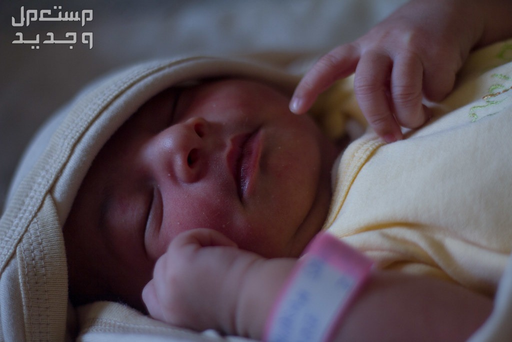 طريقة اضافة مولود جديد عبر منصة ابشر 1446 وغرامة التأخير صورة طفل مولود جديد