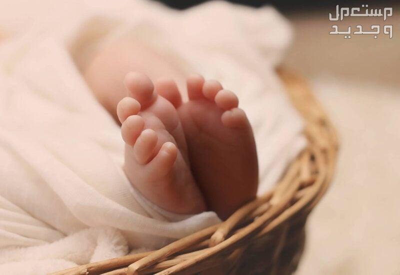 طريقة اضافة مولود جديد عبر منصة ابشر 1446 وغرامة التأخير في الإمارات العربية المتحدة طريقة اضافة مولود جديد عبر منصة ابشر 1446