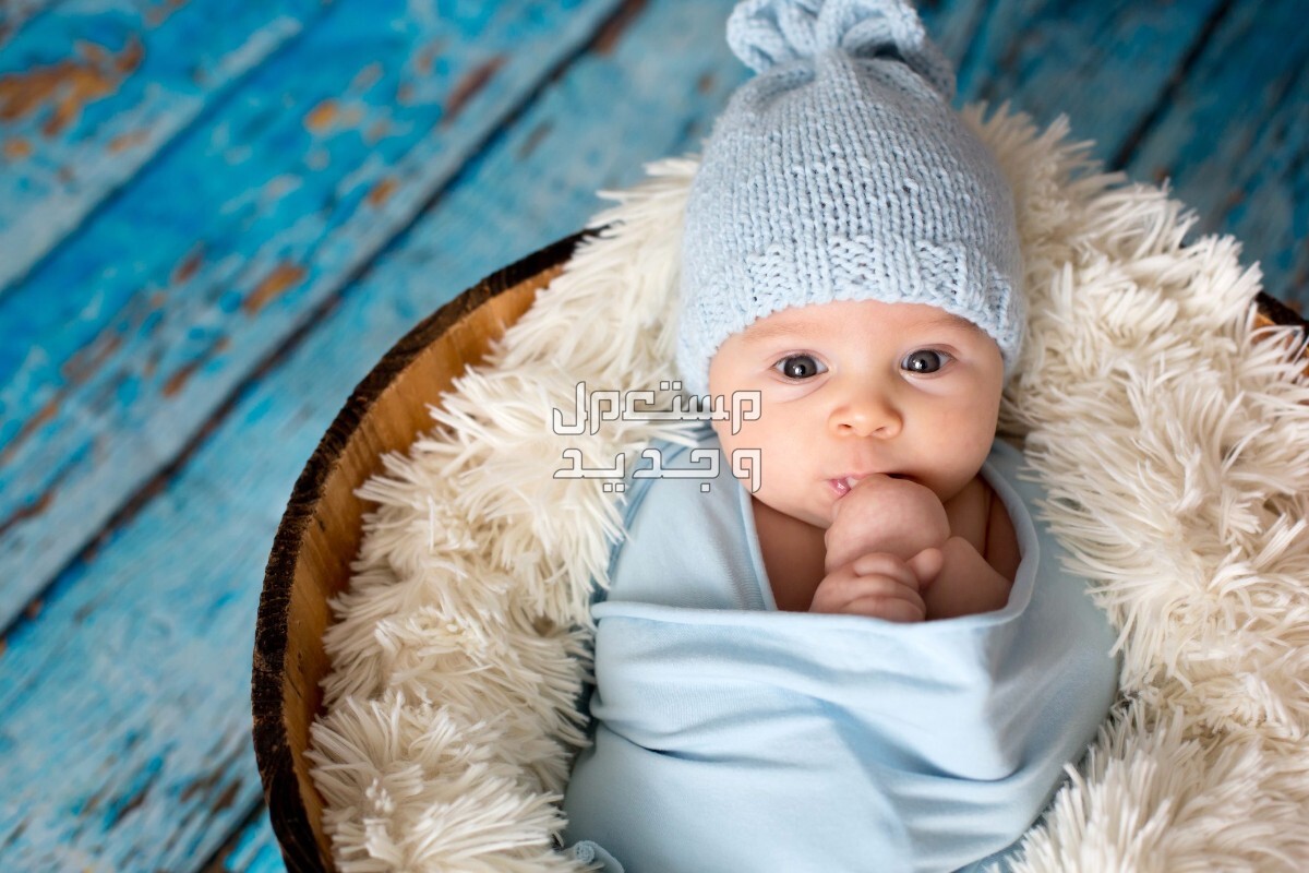 طريقة اضافة مولود جديد عبر منصة ابشر 1446 وغرامة التأخير في عمان تسجيل مولود جديد