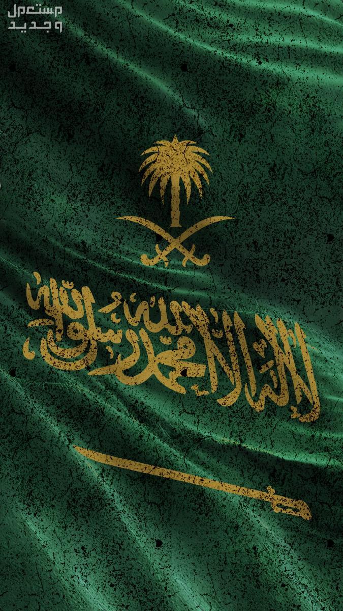 أجمل رسائل تهنئة بمناسبة اليوم الوطني السعودي 94 في الجزائر خلفيات اليوم الوطني 94