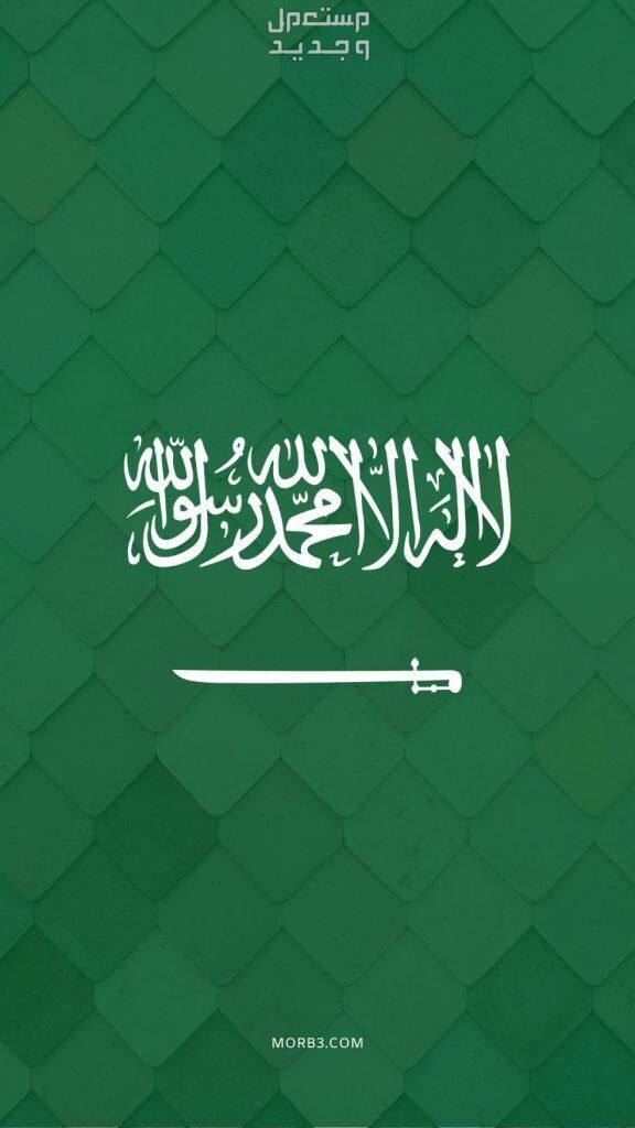أجمل رسائل تهنئة بمناسبة اليوم الوطني السعودي 94 في الجزائر