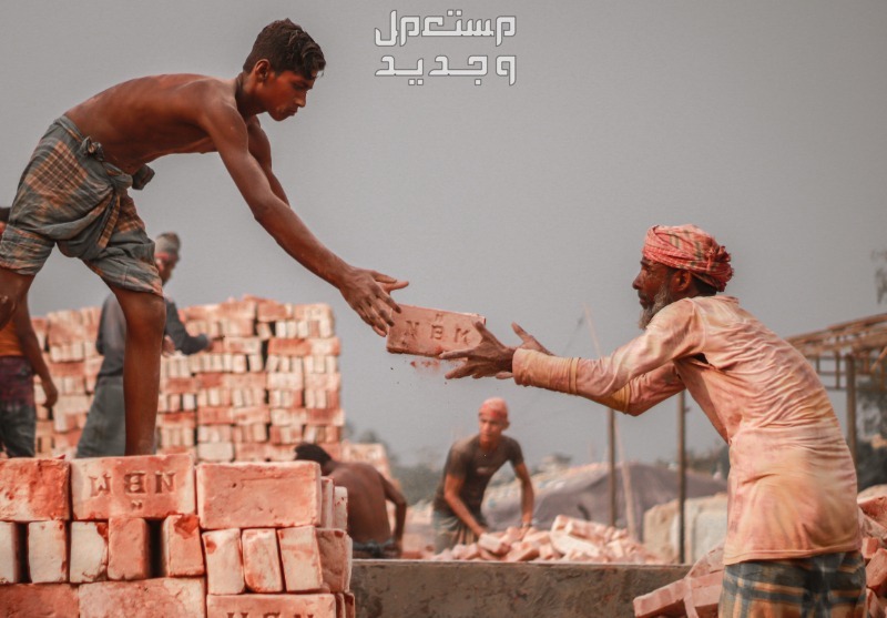 موضوع تعبير عن عيد العمال 2024 وحقوقهم وواجباتهم في الأردن مجموعة من العمال يحملون الطوب